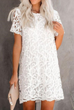 Momentlover Casual Solid Lace O Neck Straight Dresses