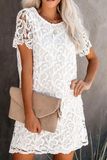 Momentlover Casual Solid Lace O Neck Straight Dresses