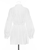 Momentlover Vacation Long Sleeves Puff Sleeves Embroidered Solid Color Stand Collar Mini Dresses