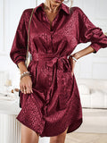 Momentlover Tied Waist Leopard Buttoned Loose Long Sleeves Lapel Shirt Dress Mini Dresses