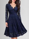 Solid Lace Scallop Trim Dress