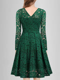 Solid Lace Scallop Trim Dress