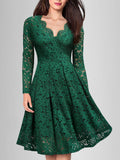 Solid Lace Scallop Trim Dress