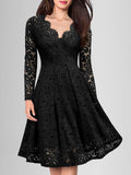 Solid Lace Scallop Trim Dress