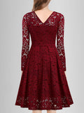 Solid Lace Scallop Trim Dress