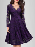 Solid Lace Scallop Trim Dress