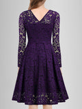 Solid Lace Scallop Trim Dress
