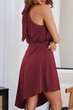 Momentlover Celebrities Elegant Solid Asymmetrical Halter Irregular Dress Dresses