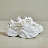 2025  ins Korean version of the new dad shoes for women  spring student sports running shoes casual shoes heightening FB3306-1