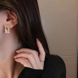 S925 Silver Needle Geometric Square Zircon Earrings