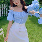 Momentlover Blue Rose Fairycore Cottagecore Dress Set
